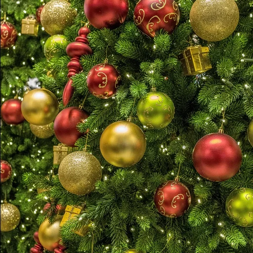 c7娱乐博彩牌照